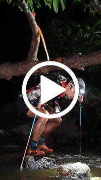 BIB:  <button type="button" onclick="openModal(27793012)" class="btn btn-primary btn-sm float-right" data-toggle="modal" data-target=".modal-high-quality">
                <i class="fa fa-download"></i> Download
                </button>